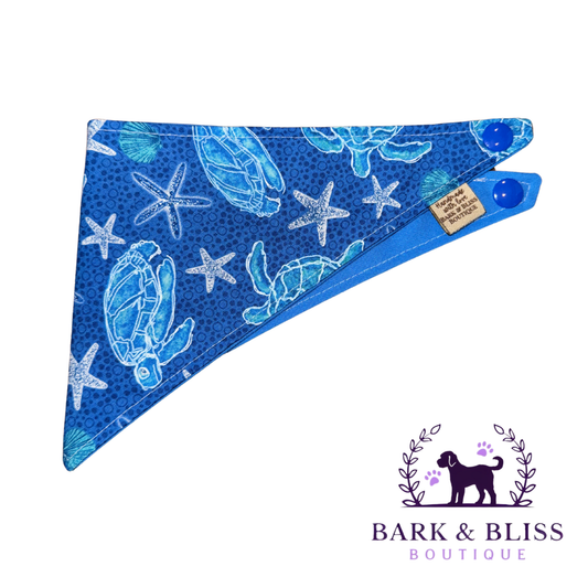 Starfish Bandana