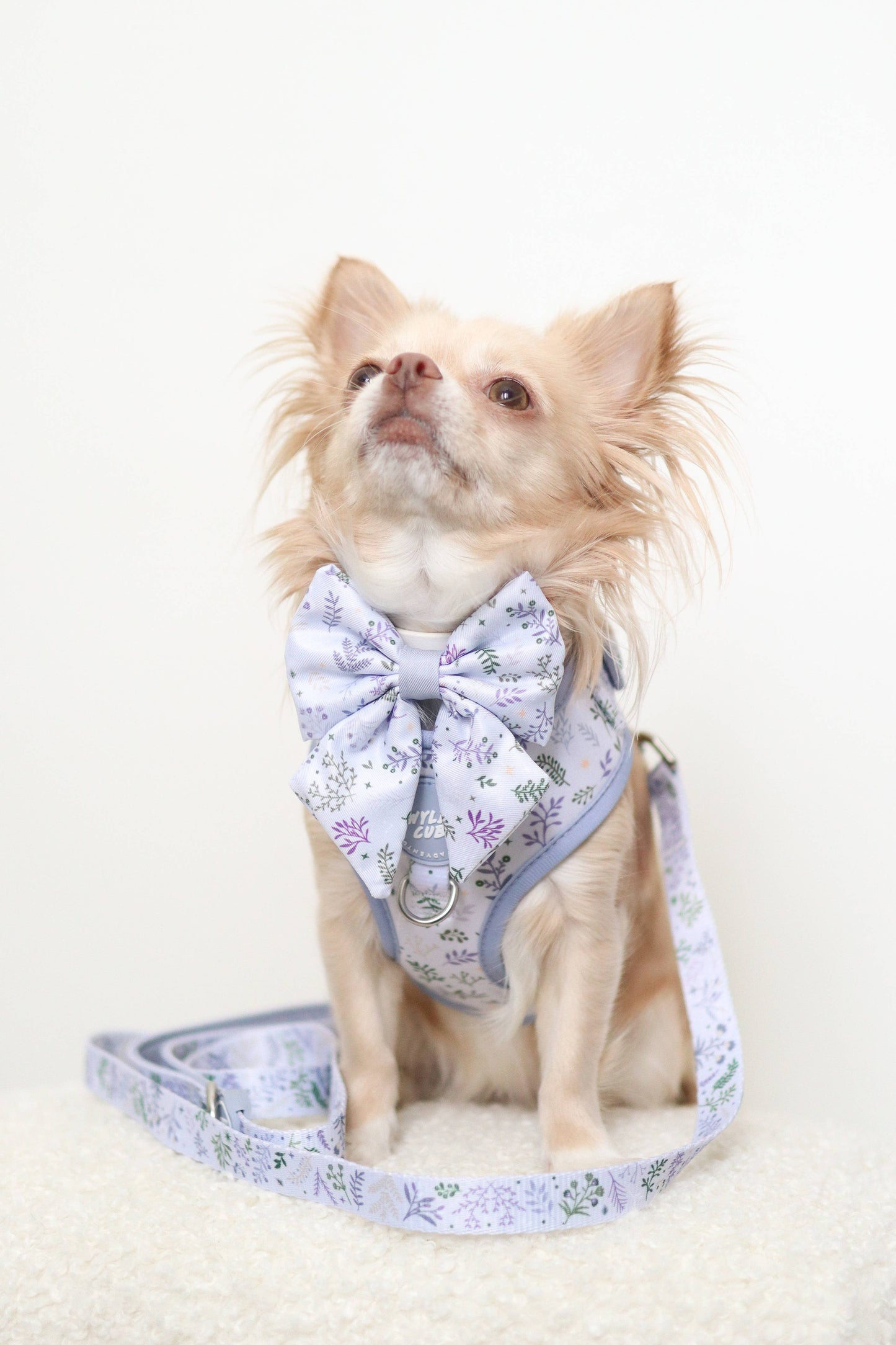 Dog Sailor Bow: Chiswick Thistle
