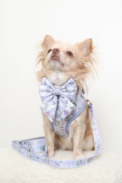 Dog Sailor Bow: Chiswick Thistle
