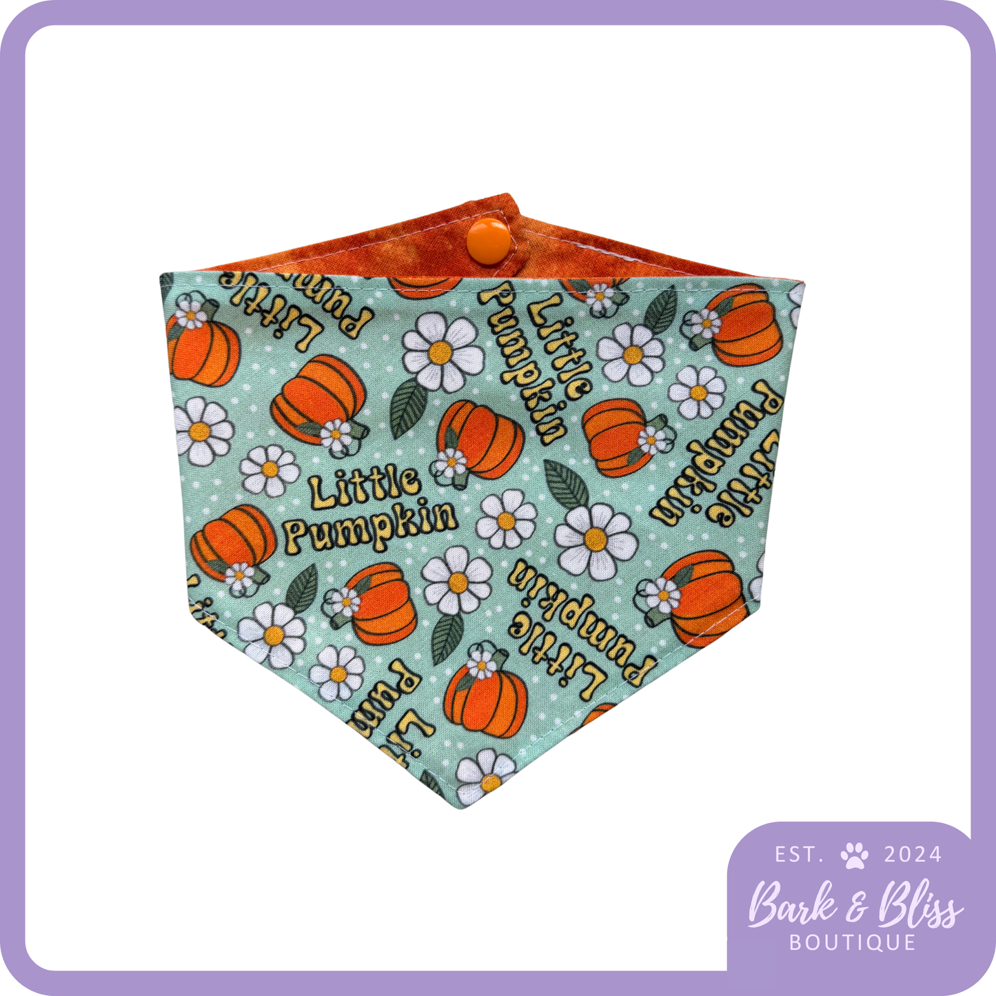 Little Pumpkin Bandana