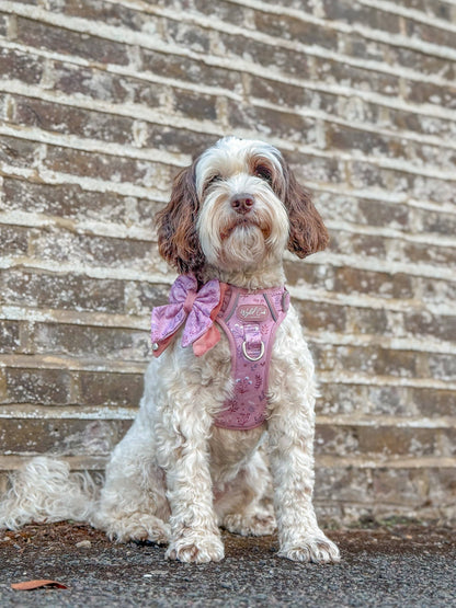 Dog Butterfly Bow: Chiswick Rosewood