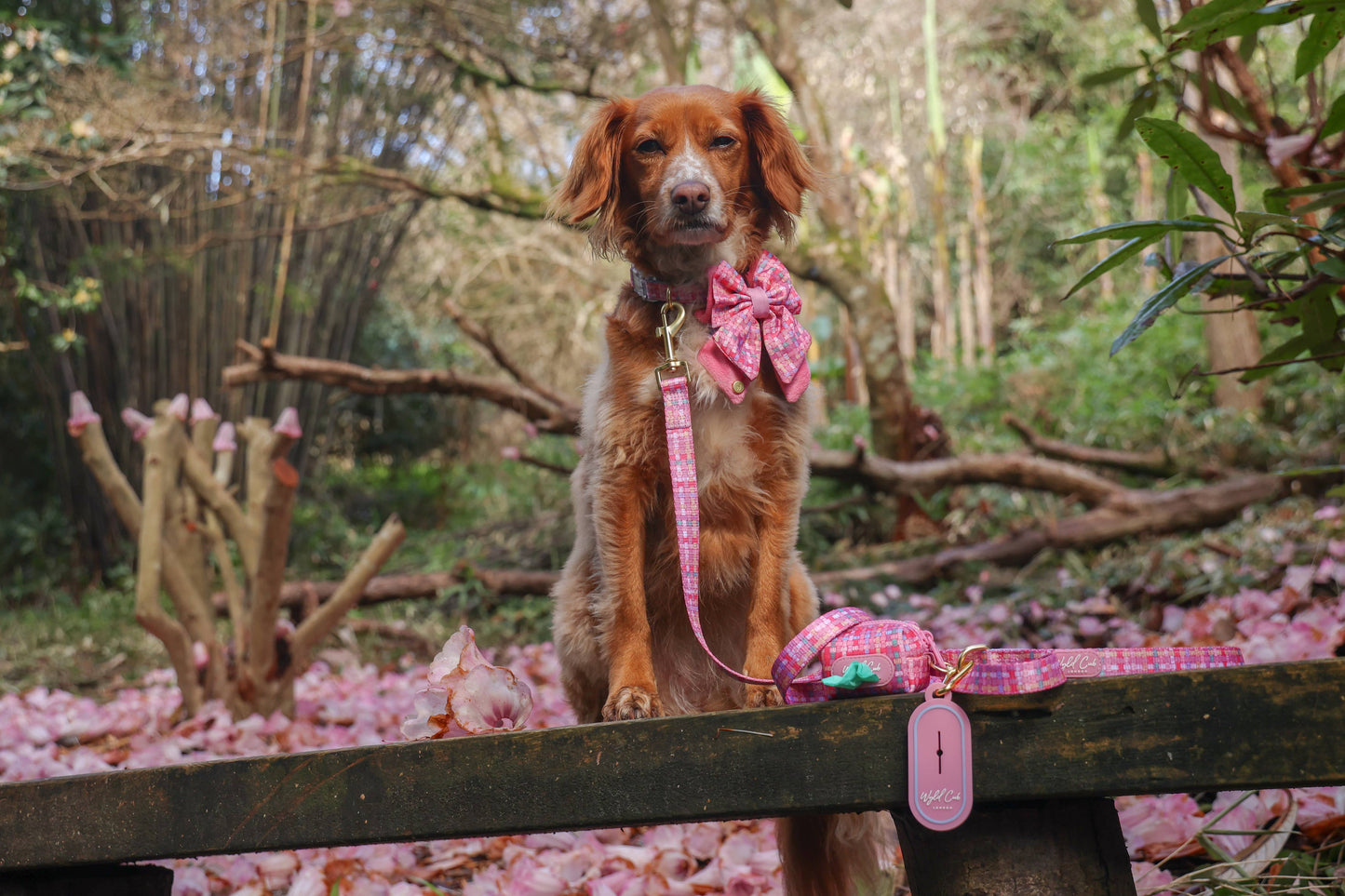 Dog Poop Bag Caddy: Belgravia Bonbon