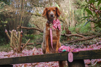 Dog Poop Bag Caddy: Belgravia Bonbon