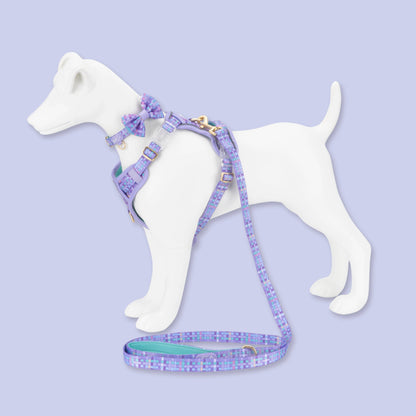 Dog Dickie Bow: Belgravia Sugarplum