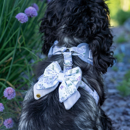 Dog Butterfly Bow: Chiswick Thistle