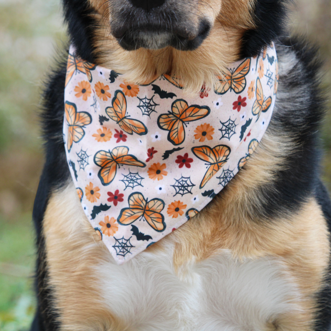 Butterflies and Bats Bandana