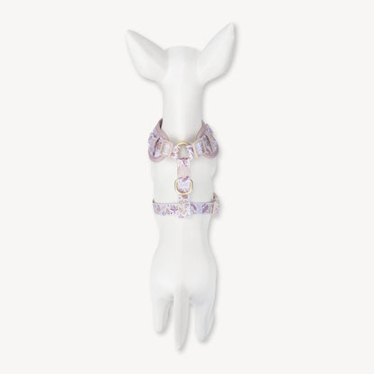 Adjustable Dog Harness: Chiswick Oyster