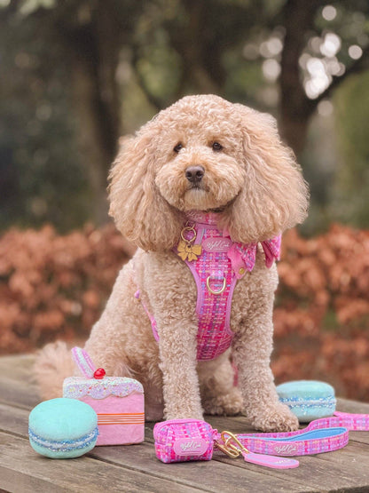 Dog Lead: Belgravia Bonbon