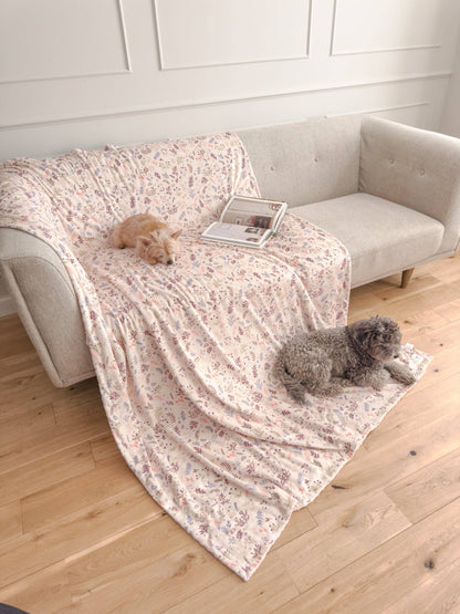 Blanket: Chiswick Oyster