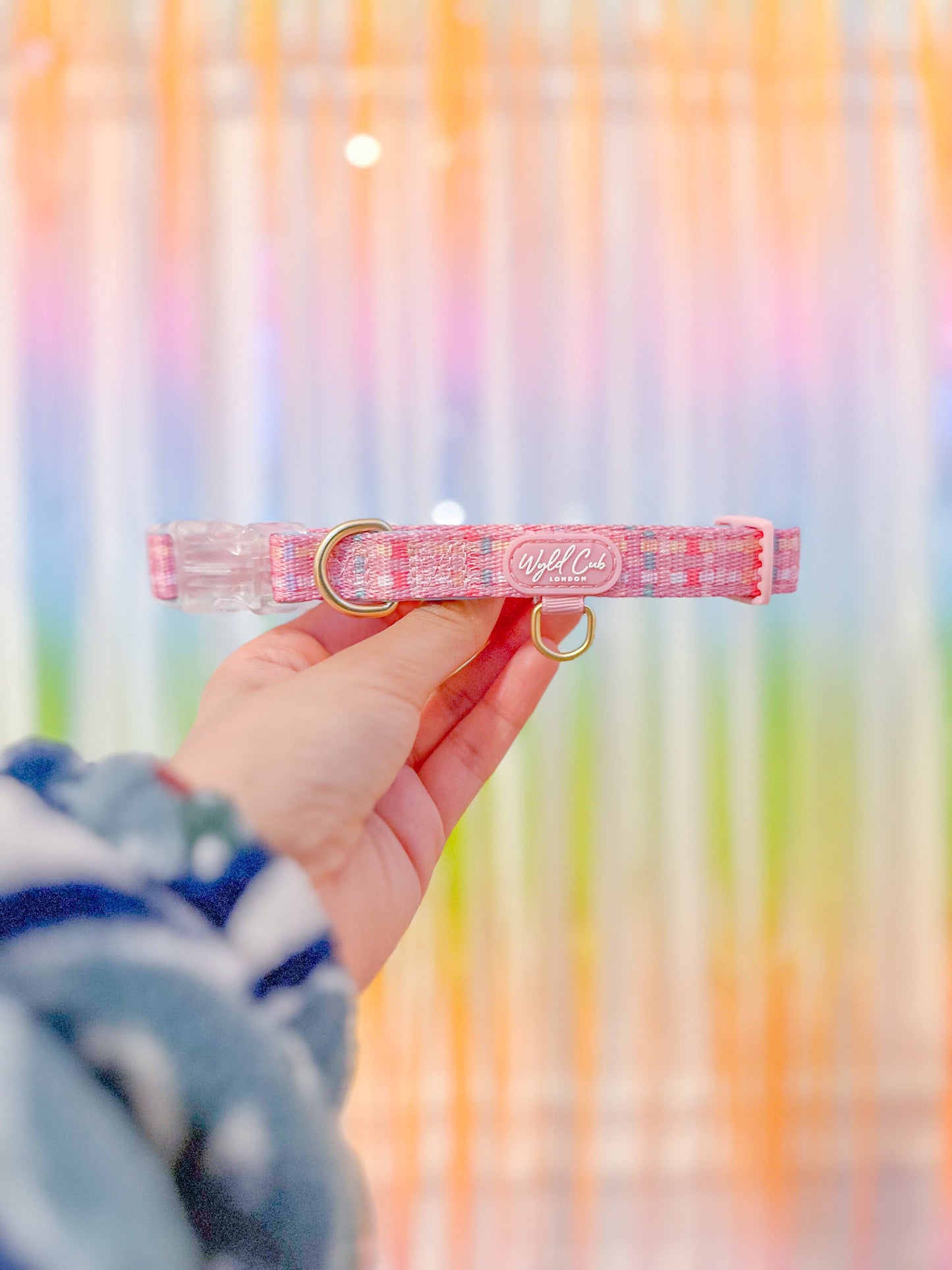 Adjustable Dog Collar: Belgravia Bonbon