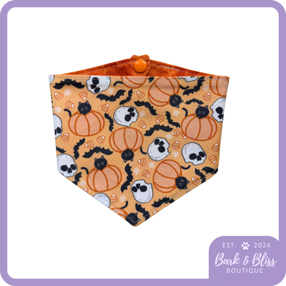 Trick-Or-Treat Bandana