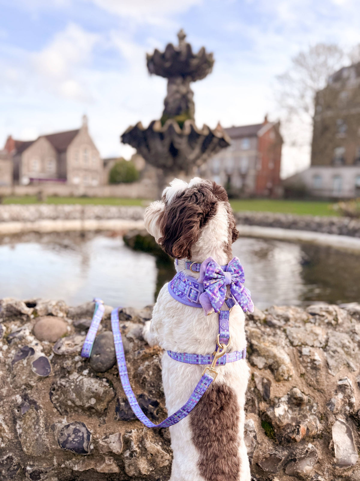 Adjustable Dog Harness: Belgravia Sugarplum