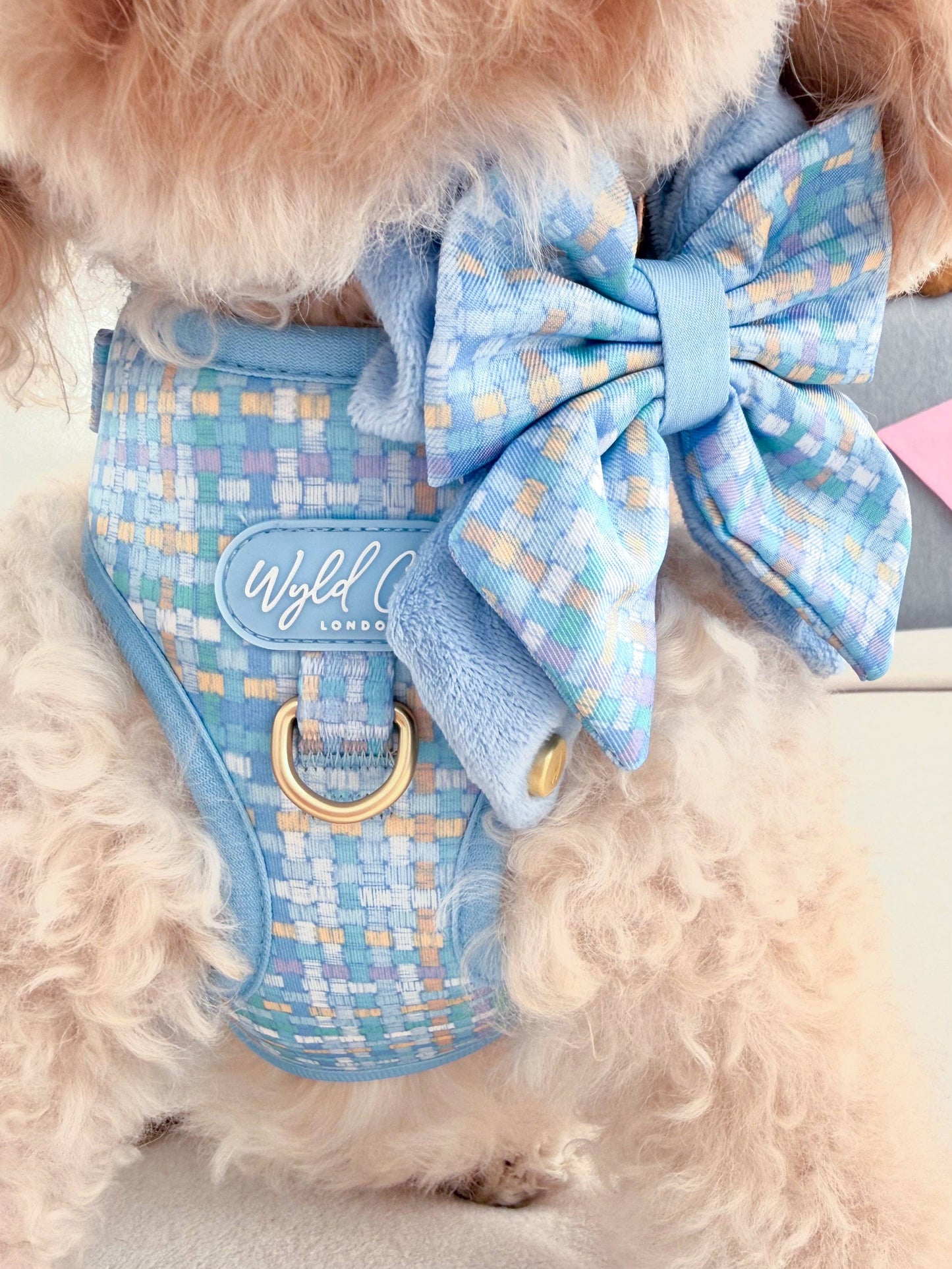 Dog Butterfly Bow: Belgravia Macaron
