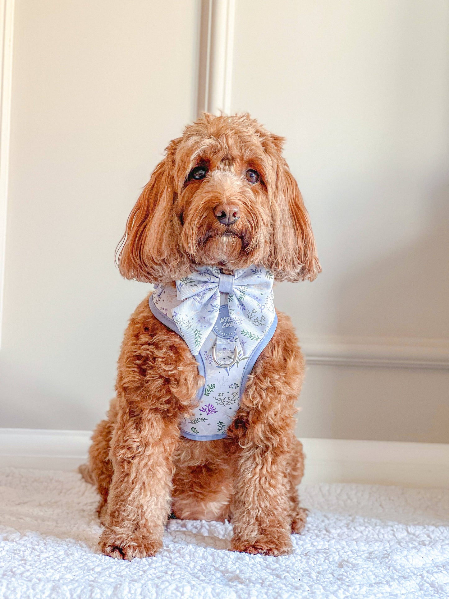 Dog Sailor Bow: Chiswick Thistle