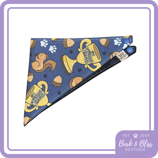 Squirrel Chaser Bandana