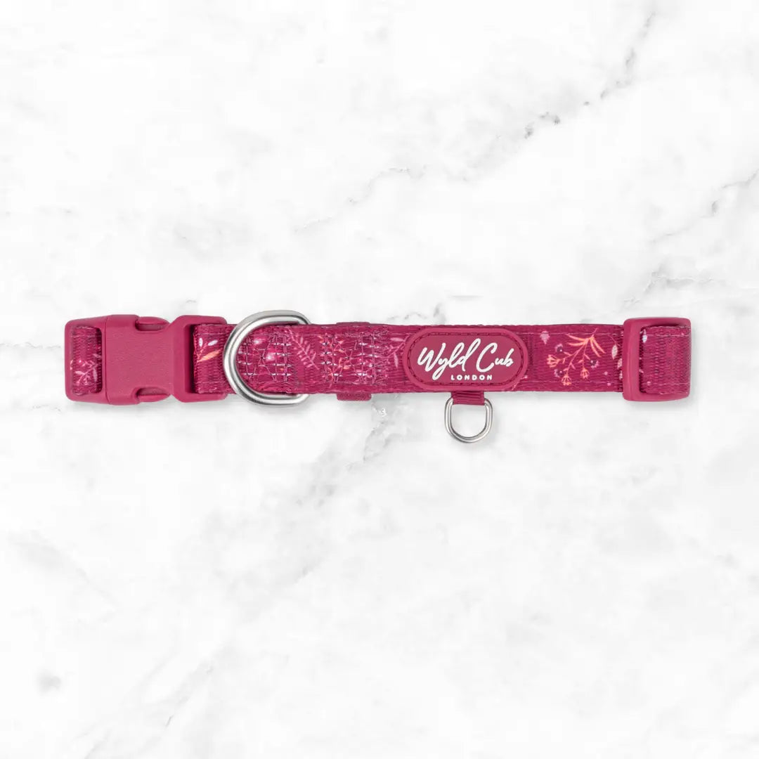 Adjustable Dog Collar: Chiswick Dragonfruit