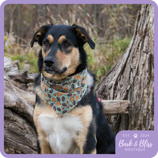 Pumpkins and Footballs Bandana