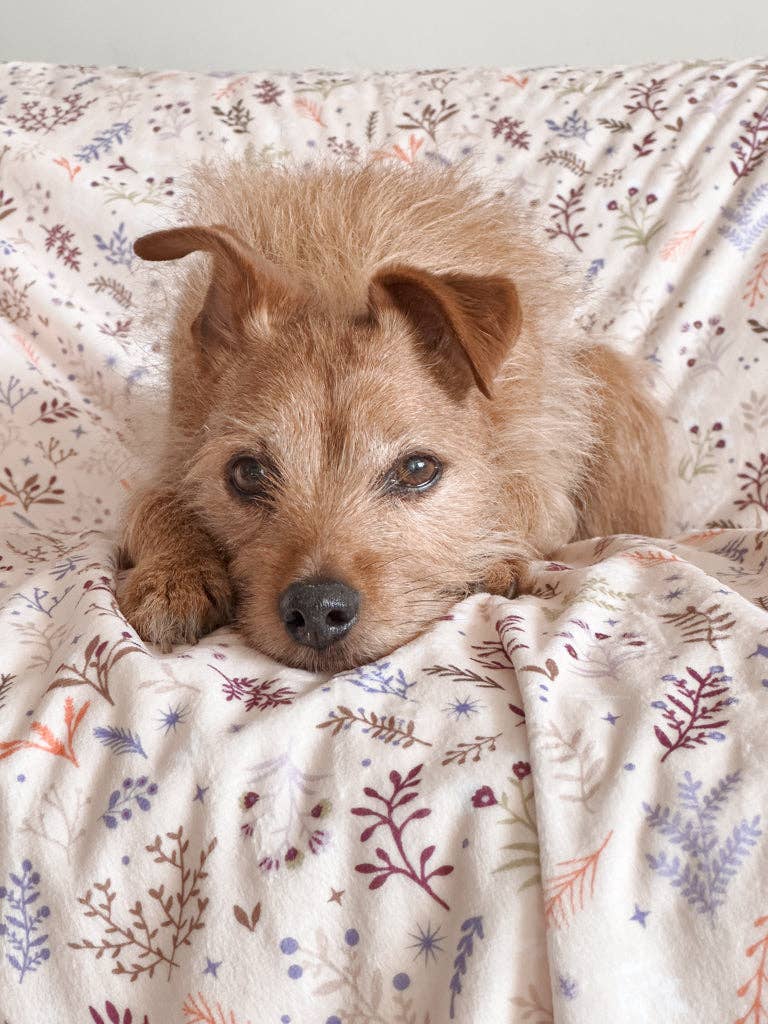 Blanket: Chiswick Oyster