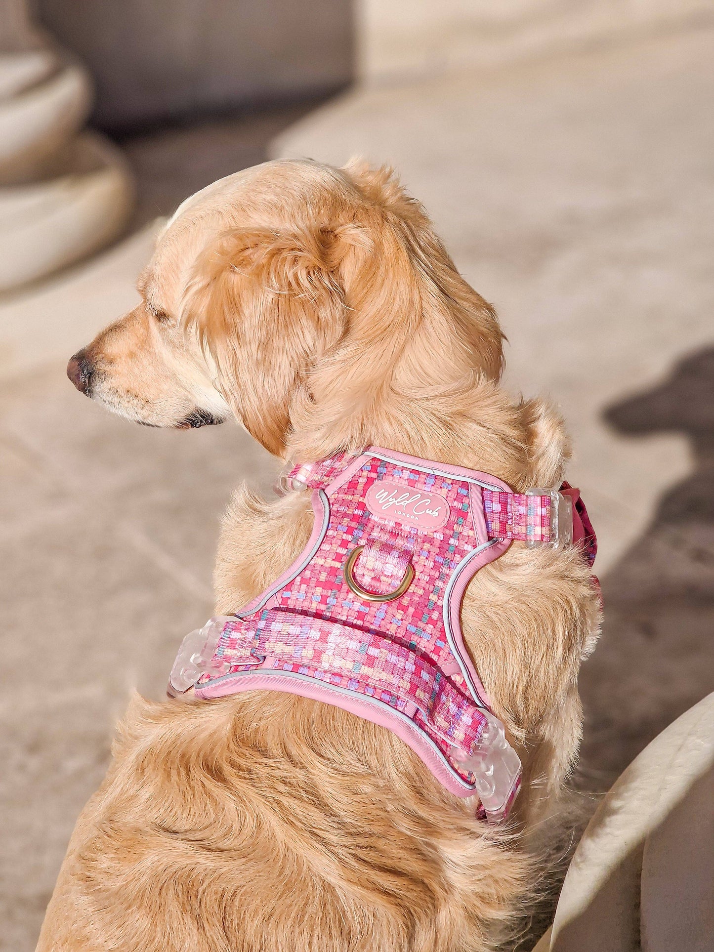 Step & Switch® Dog Harness: Belgravia Bonbon
