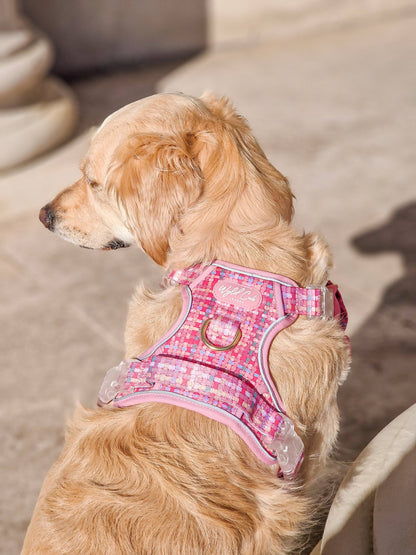 Step & Switch® Dog Harness: Belgravia Bonbon