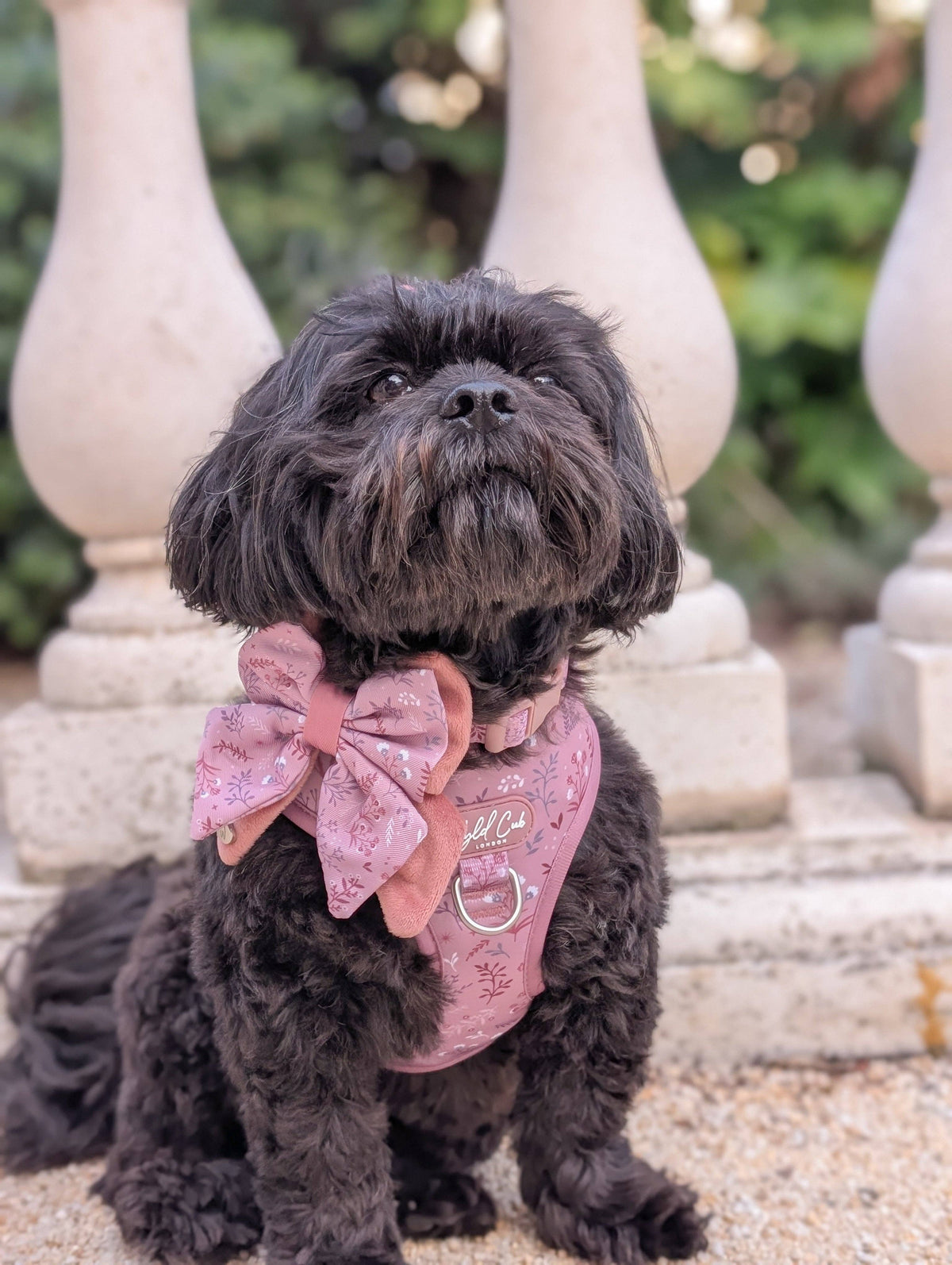 Dog Butterfly Bow: Chiswick Rosewood