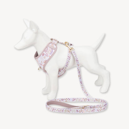 Adjustable Dog Harness: Chiswick Oyster