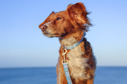 Dog Lead: Belgravia Macaron