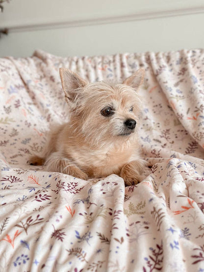 Blanket: Chiswick Oyster