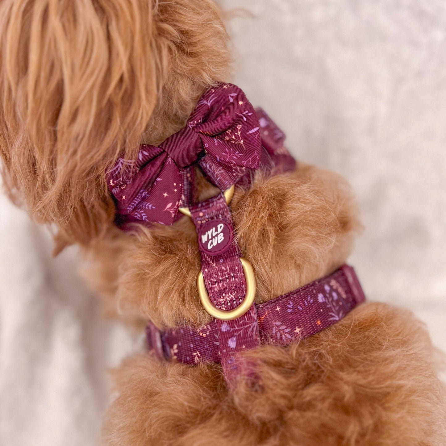 Dog Dickie Bow: Chiswick Fig