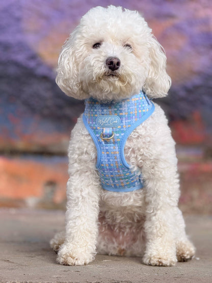 Adjustable Dog Harness: Belgravia Macaron