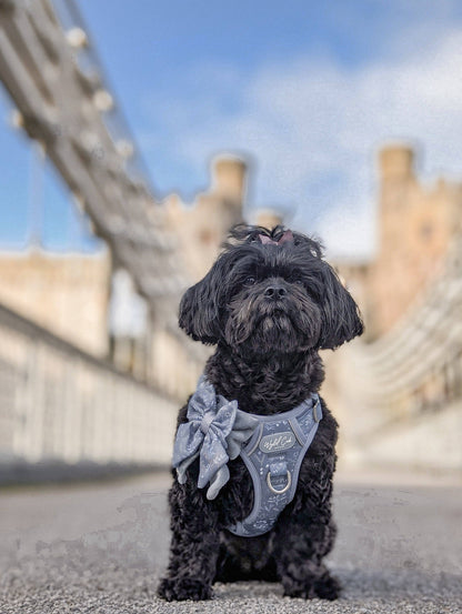 Step & Switch® Dog Harness: Chiswick Dovetail