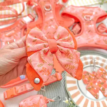 Dog Butterfly Bow: Chiswick Papaya