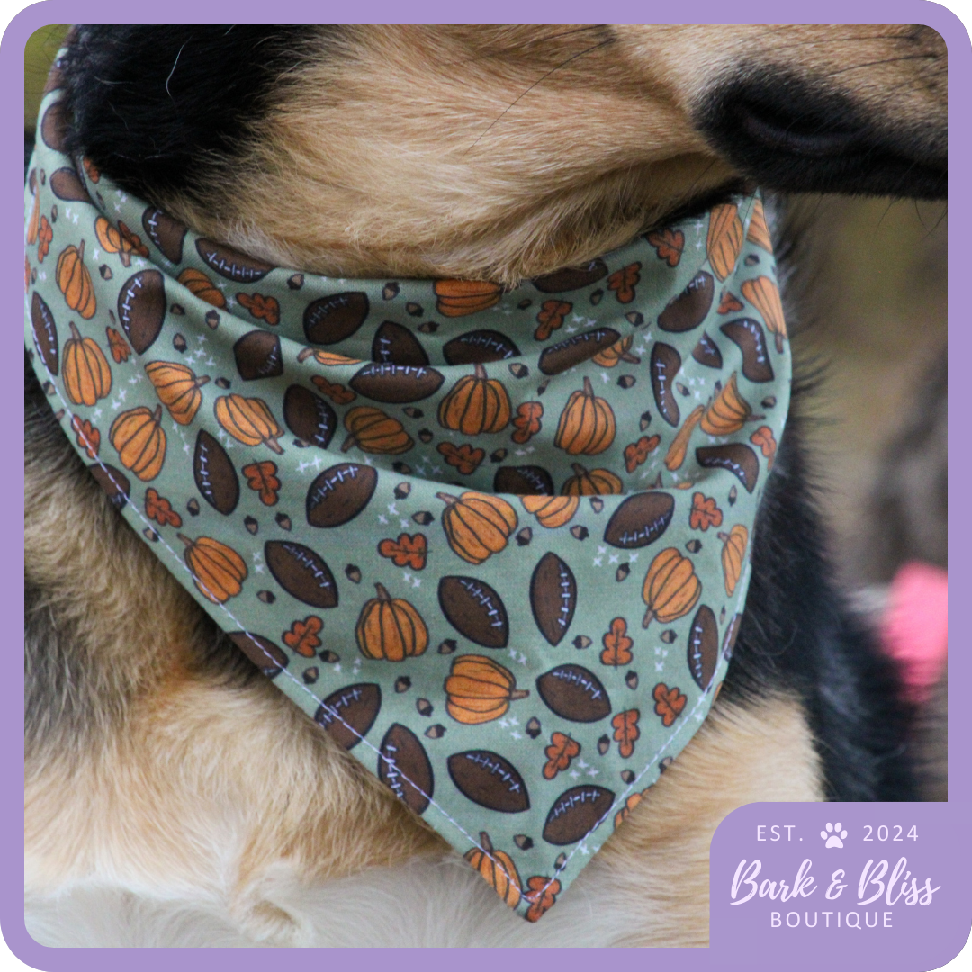 Pumpkins and Footballs Bandana