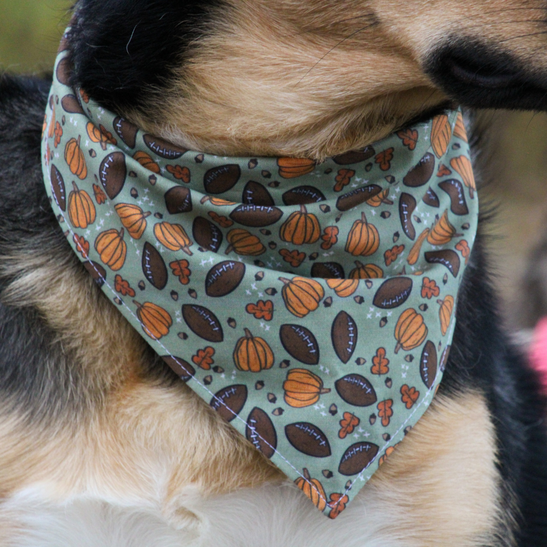 Pumpkins and Footballs Bandana