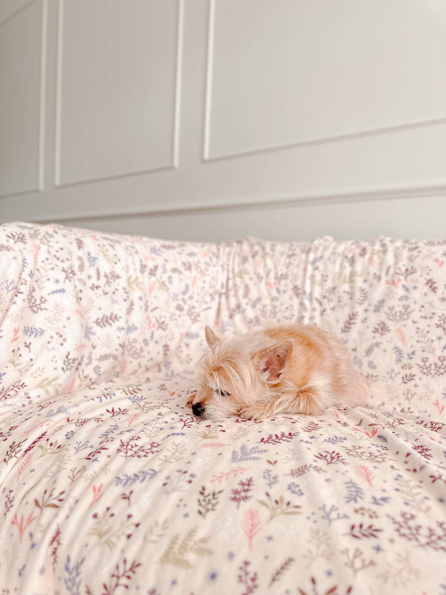 Blanket: Chiswick Oyster