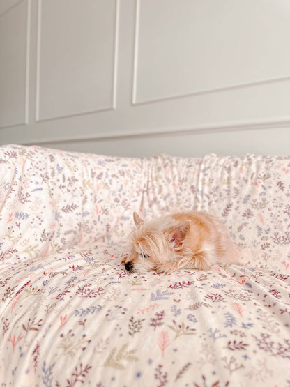 Blanket: Chiswick Oyster