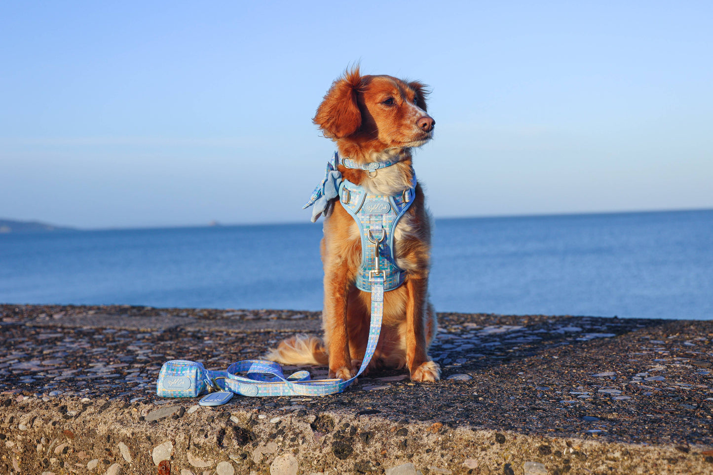 Dog Lead: Belgravia Macaron