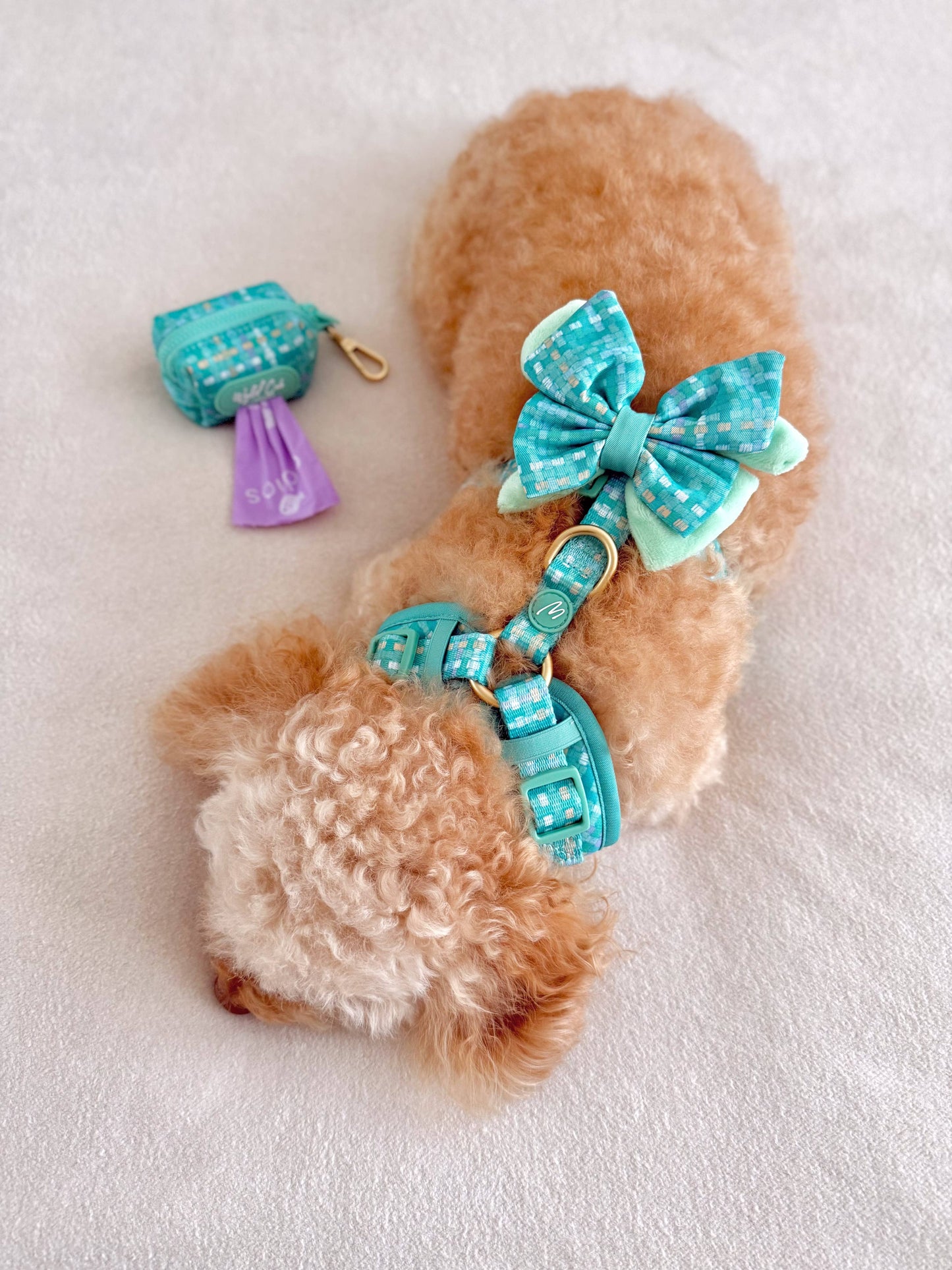 Dog Butterfly Bow: Belgravia Sweetpea