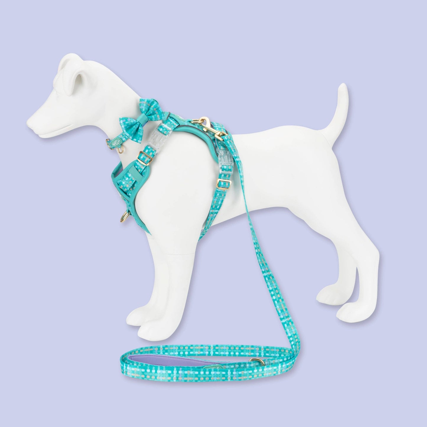 Dog Dickie Bow: Belgravia Sweetpea