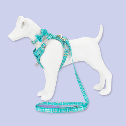 Dog Dickie Bow: Belgravia Sweetpea