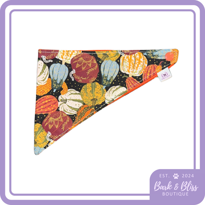 Pumpkin and Squash Bandana