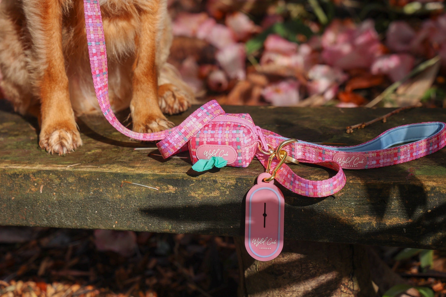 Dog Lead: Belgravia Bonbon