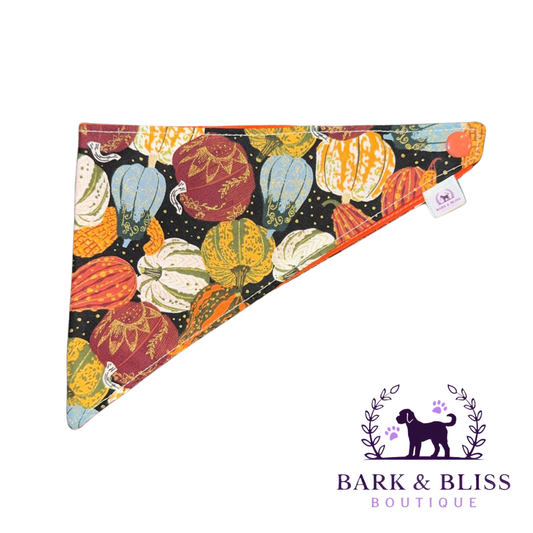 Pumpkin and Squash Bandana