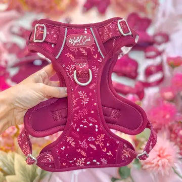Step & Switch® Dog Harness: Chiswick Dragonfruit