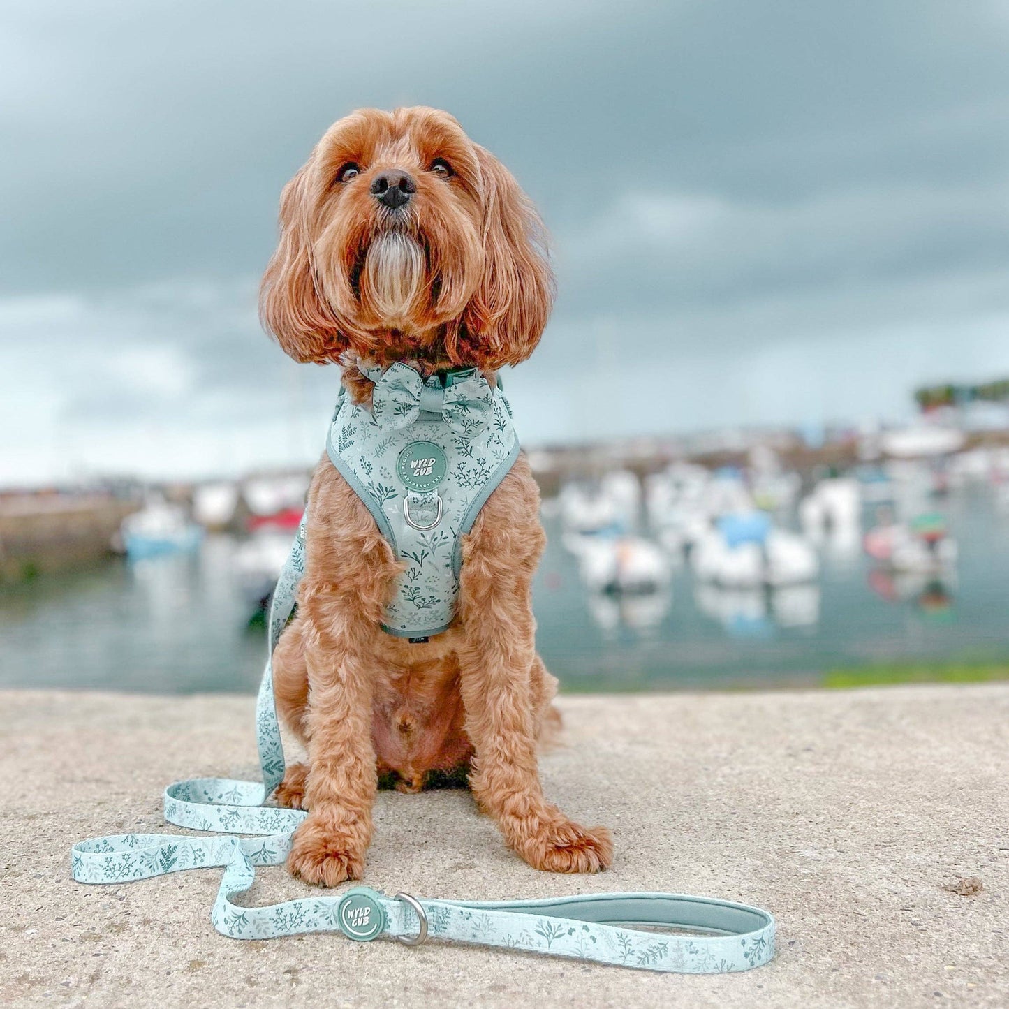 Dog Dickie Bow: Chiswick Pistachio
