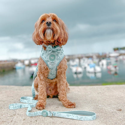 Dog Dickie Bow: Chiswick Pistachio