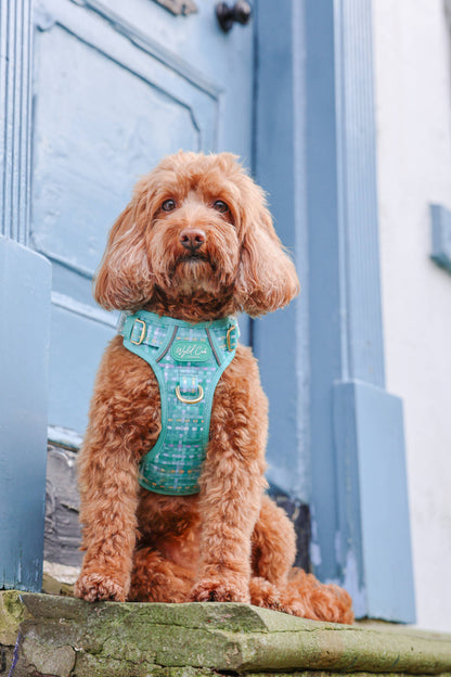 Step & Switch® Dog Harness: Belgravia Sweetpea