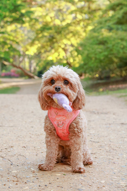 Adjustable Dog Harness: Chiswick Papaya