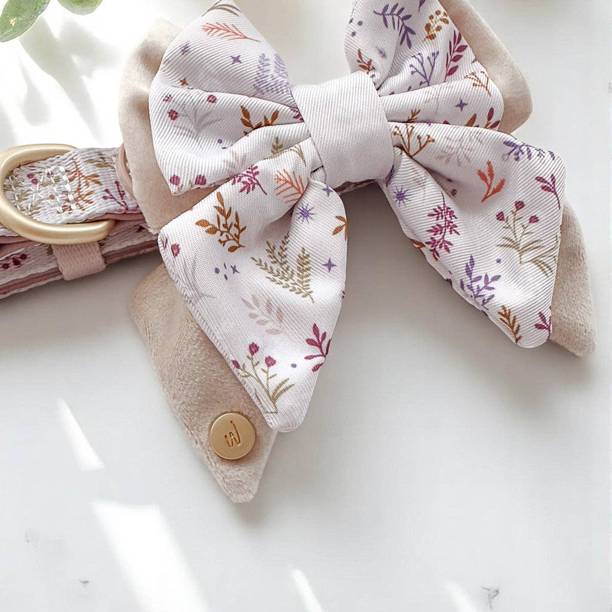Dog Butterfly Bow Tie: Chiswick Oyster
