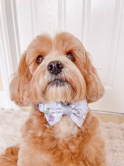 Dog Dickie Bow: Chiswick Thistle